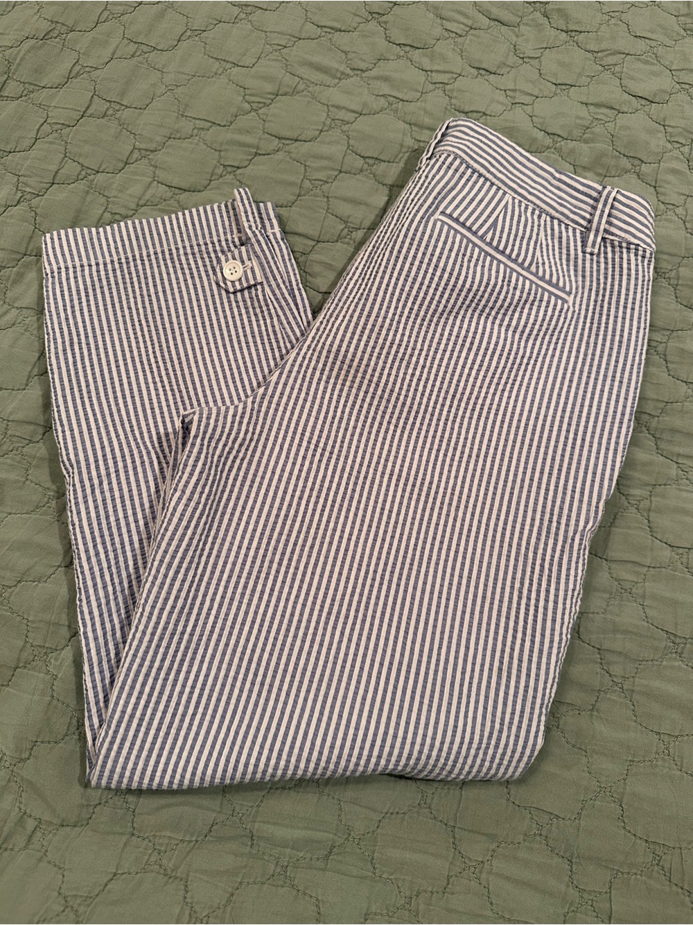 Talbots Blue and White Striped perfect Crop pants